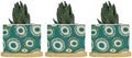 Green and Bukhara Ikat Ceramic Planters Peacock Strip Print Pots for Plants with Drainage Holes and Saucers Pot for Succulents Cactus Garden Windowsill by BRUYU5SE