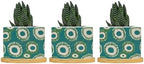 Green and Bukhara Ikat Ceramic Planters Peacock Strip Print Pots for Plants with Drainage Holes and Saucers Pot for Succulents Cactus Garden Windowsill by BRUYU5SE