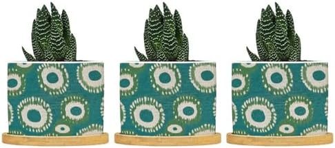 Green and Bukhara Ikat Ceramic Planters Peacock Strip Print Pots for Plants with Drainage Holes and Saucers Pot for Succulents Cactus Garden Windowsill by BRUYU5SE