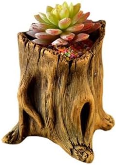 Decorative Cement Flower Pots with Natural Tree Root Aesthetic for Bonsais and Enthusiasts Indoor Outdoor Use Cement Planter - Image 5