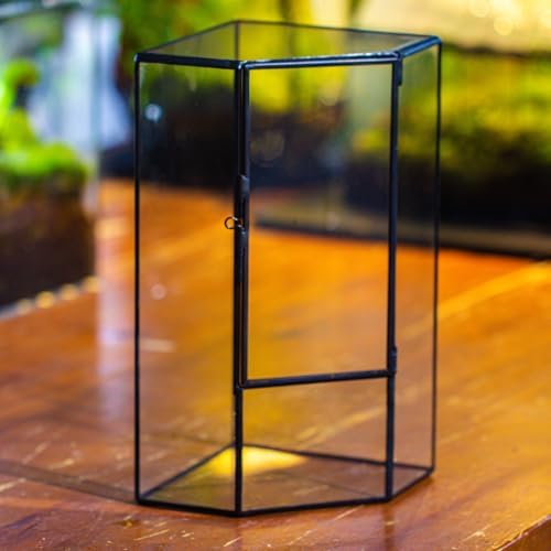 NCYP Glass Terrarium with Front Opening Door for Small Plants, Moss Wall - Image 5