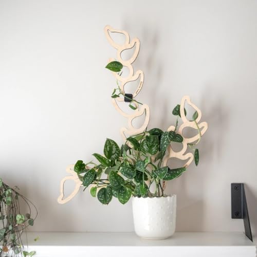 Treleaf Kora Extendable Wooden Plant Trellis Extension Kit (2 Extensions) – Modular Plant Support Add-On for Climbing Houseplants, Moss Pole Alternative for Monstera & Indoor Plants - Image 6