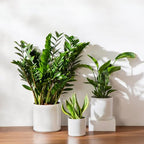 vancasso 6"+8"+10" Ceramic Pot for Plants, Large Outdoor Indoor Planter Pots with Drainage Holes, Set of 3, White - Image 6