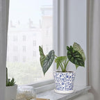 Set of 3 Decorative Plant Pots Blue and White Flower Pot, Round Ceramic Planters for Indoor Plants Pots with Drainage Hole Saucers, Retro Planter Pot for Succulents Cactus Outdoor Garden, 5.5/5.7 Inch - Image 6