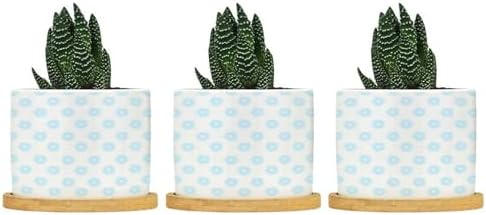 Timur in Blue Background Ceramic Planters Geometric Modern Planters for Outdoor Plants with Drainage Holes and Saucers Pot for Pots Outdoor Indoor Plants by BRUYU5SE