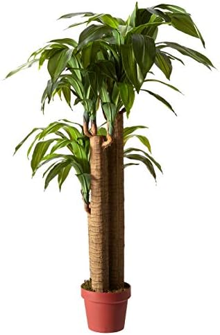 Nearly Natural 4 ft Artificial Corn Stalk Dracaena Real-Touch Floor Plant - Image 2
