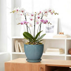 Ceramic Planter, 8 Inch Plant Pot Indoor with Saucer, Glaze Blue - Image 5