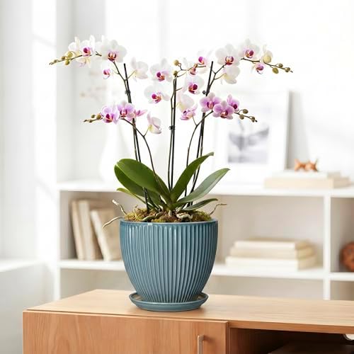 Ceramic Planter, 8 Inch Plant Pot Indoor with Saucer, Glaze Blue - Image 5