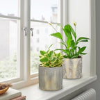 Oairse Small Ceramic Pot for Indoor Plants, 5.3 inch Plant Pot with Drainage Hole Decorative Texture Gold Planter Indoor Outdoor Flower Pots for Succulent Snake Plant Pothos Orchid - Image 7