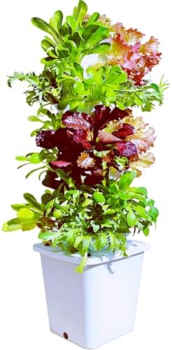 Hydroponic Growing System Kit - Hydroponic Tower Indoor Smart Vertical Garden,Hydroponic Vegetable System,35 Pods, Automatic Timer, Gardening Gift by Unknown