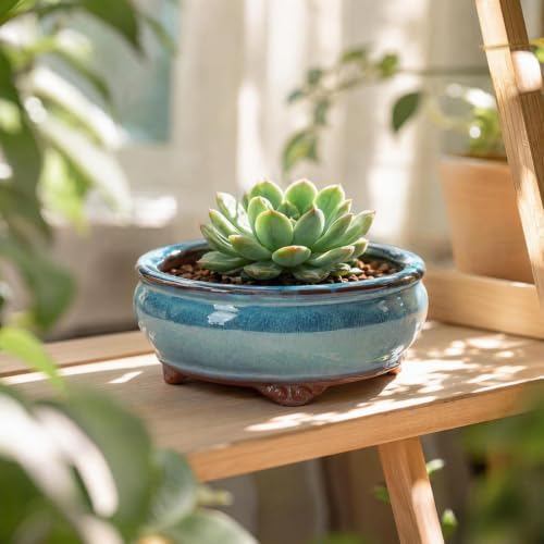 6" Ceramic Succulent Pots, Planters with Drainage Holes, 3 Pack - Image 2