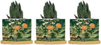 Vase Green Chinoiserie Ceramic Planter Daily Planters for Indoor Plants with Drainage Holes and Saucers Pot for Home Desktop Office Windowsill by BRUYU5SE