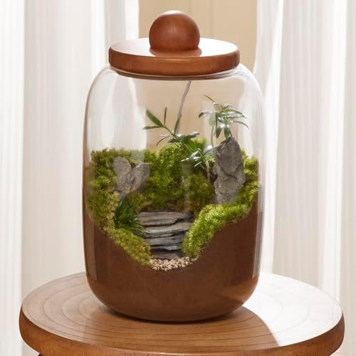 Plant Terrarium with Grow Light: 8.6H+6.3W Glass Terrarium - Image 6