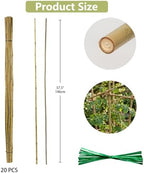 Plant Stakes Natural Bamboo Sticks - 20 Pcs Bamboo Garden Stakes for Plants 4.8 FT Plant Support Sticks with Twist Ties for Tomatoes Beans Flowers Indoor Outdoor Potted Climbing Plants - Image 4