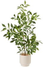 27" Indoor Faux Potted Plants Ficus Leaves Trees with Ceramic Pots by AmoreFlorals