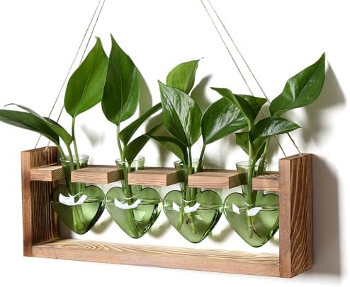 Plant Propagation Stations Heart Plant Terrarium Kit by CYZglass