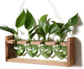 Plant Propagation Stations Heart Plant Terrarium Kit by CYZglass