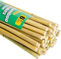 Jollybower 5/8" D 6 Feet Bamboo Stakes 50 Pack, Thicker Heavy-Duty Plant Stakes, Natural Garden Stakes for Bean, Tomato, Bean, Flowers,Trees Potted and Climbing Plant Support by Jollybower
