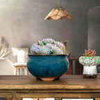 8 Inch Succulent Pot with Drainage and Saucer Glazed Terracotta Round Ceramic Succulent Planter Cactus Bonsai Plant Pot (Dark Green) - Image 3