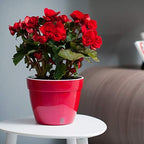 DECOPOTS - 3 Pack - Self Watering Planter - Modern Flower Pot with Water Level Indicator for All House Plants, Flowers, Herbs - Height 8.3 inches (Diameter 10.6", Red - Pearl/White) - Image 5