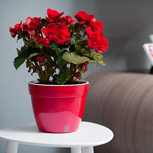 DECOPOTS - 3 Pack - Self Watering Planter - Modern Flower Pot with Water Level Indicator for All House Plants, Flowers, Herbs - Height 8.3 inches (Diameter 10.6", Red - Pearl/White) - Image 5