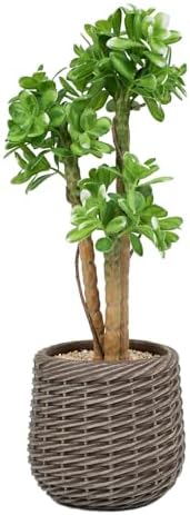 Artificial Succulents Plants 25inch, Tall Faux Desk Plants Indoor in Brown Pot, 2ft Artificial Floor Plant, Fake Plant for Home Office Bedroom Porch Patio Balcony or Garden Outdoor Decor by Keeplush