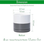 D'vine Dev 2-Pack Ceramic Pots with Saucers, White/Grey, 8.2 in, 94-V-D-6 - Image 3
