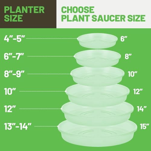 MUDEELA 6 Pack of 15 inch Plant Saucer, Durable Plastic Plant Trays for Indoors, Clear Plastic Flower Plant Pot Saucer, Made of Thicker, Stronger Plastic, with Taller Design - Image 3