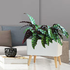 13.5 Inch Indoor Decorative Planter Pot with Solid Wood Legs, Self Watering Pots with Water Shortage Alarm Plant Pot for Modern Flower Planter for Home & Garden(White) - Image 6