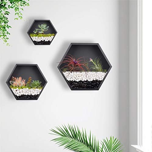 Hanging Hexagon Basket Hanging Wall Planters Metal Vase Retro Air Plant Holder Vintage Flower Pot Iron Geometric Planter Succulent Cactus Container for Wall Decor, Mixed Set of 3 (Black) - Image 2