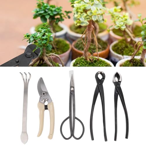 5PCS Bonsai Tool Kit, Carbon Steel Professional Bonsai Starte Set Tree Pruning Tools Cutter Scissor for Potted Plant Pruning - Image 3