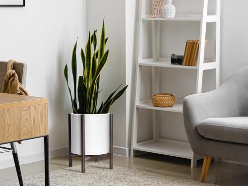 D'vine Dev Plastic Pot with Walnut Wood Stand, White, 12 in, 55-C-O-1 - Image 6