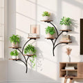 2 Pack Wall Mounted Plant Holder, 8-Tier Wall Planters for Indoor Plants by POZILAN