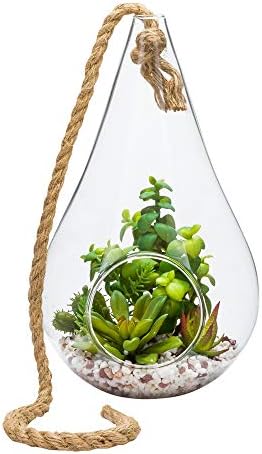 Restaurantware-7.9 x 12.6 Inch Hanging Terrarium With Faux Succulent, 1 Artificial Succulent - In Hanging Glass Terrarium, With Knotted Hemp Rope, Plastic Hanging Succulent, Patio Or Home Decor by Restaurantware