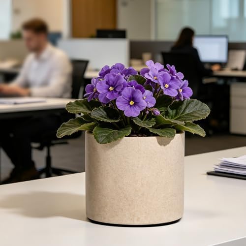 8 Inch Resin Plant Pots with Drainage Hole Round Decorative Flower Planter - Image 7