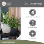 The HC Companies Aria Round Self-Watering Pot - Lightweight Plastic Planter for Herbs & More - Durable Plant Pots for Indoor Plants & Outdoor Plants (12" Glossy Avocado, Pack of 2) - Image 4