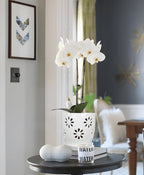 Oairse 6 inch Orchid Pots with Holes, White Ceramic Orchid Pot for Repotting Small Indoor Plant Pots with Drainage Holes and Saucers Decorative Flower Planter for Orchids, Indoor Plant - Image 5