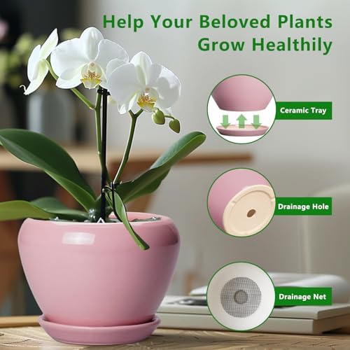 Ceramicfor Ceramic Modern Glaze Succulent Planter Pot with Drainage Hole and Saucer 8 Inch Round Flower Plant Pot for Indoor Outdoor Herb Snake Plants, Pink - Image 6