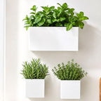 LaLaGreen Wall Planter (3-Pack Set) Rectangular Indoor Hanging Flower Boxes by L%C3%A1L%C3%A1Green