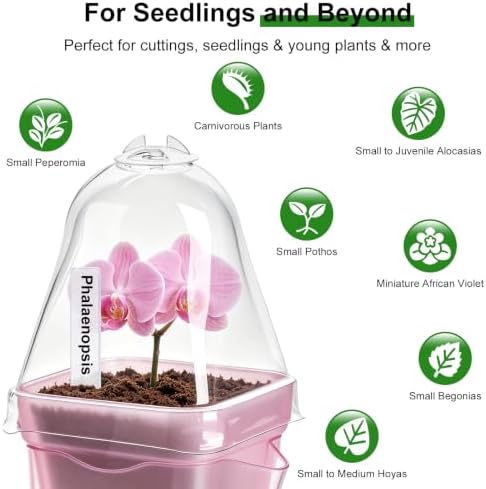 12 Pcs Self Watering Pots with Humidity Dome for Indoor Plants - Small Clear Propagation Cups, Plastic Tissue Culture Acclimation Kit for African Violet, Succulent, Alocasia, Hoya （Clear） - Image 5