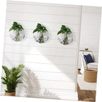 4pcs Glass Wall Planter Globe Terrarium Holder for Flowers - Image 7
