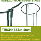 HiGift 4 Pack Height Adjustable Metal Plant Support (36" H or 24" H or 12" H), Heavy Duty Peony Cages and Supports, Half Round Tall Plant Support Ring for Outdoor Indoor Plant Hydrangea Flower - Image 4