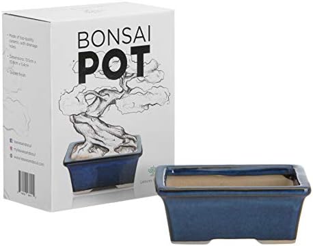 Leaves & Soul Bonsai Starter Kit for Bonsai Tree Complete Set for Beginners - Image 3