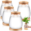 Nuanchu 4 Pcs Desktop Plant Terrarium Vase, Large by Nuanchu
