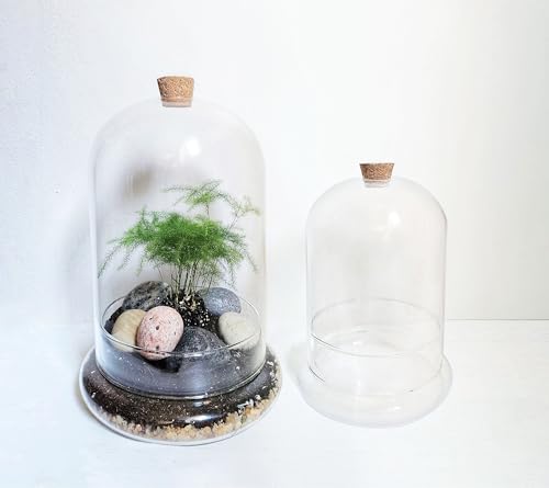 Handblown 10" Glass Terrarium with Opening for Air Flow & Cork Stopper Cloche Style Glass Dome Vivarium Display Case (Large) - Image 2