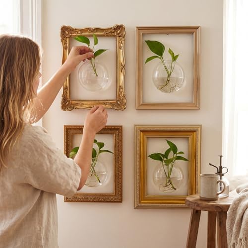 Kathfly 4 Sets Glass Wall Vase Planters with Vintage Picture Frame, Farmhouse Wall Propagation Planter Station Glass Vases for Hydroponics Plants Indoor Home Office Living Room Gallery Decor Gift - Image 2