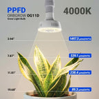 Barrina Orbgrow OG11D Grow Light Bulbs with Base, 4000K 11W, 4 Packs, White - Image 2