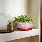 Succulent Pots - 8 Inch Bonsai Pots for Indoor Outdoor, Shallow Ceramic Planter with Drainage Hole and Saucer, Round Flower Succulent Planters, Room Decor, Gifts for Plant Lovers, Red - Image 6