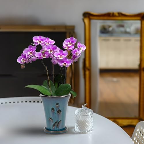 W&W Orchid Pot with Holes and Saucer for Repotting, 6 x 7 Inch, Teal - Image 6