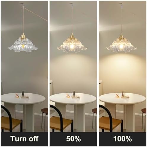Plug in Pendant Light Fixtures,Hanging Light Fixture Flower Transparent Glass Pendant Light 11 inch E26 Pendant Lighting for Kitchen Island, Bedroom, Dining Room, Living Room - Image 5